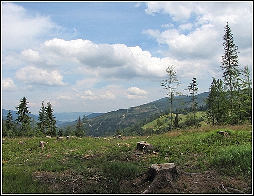 Panorama Beskidu lskiego.