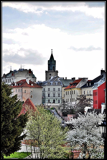 lubelska starwka