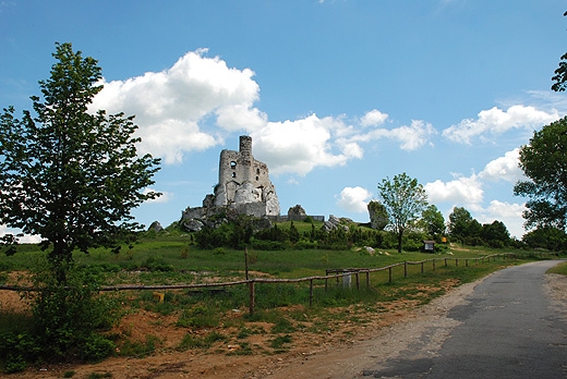 Ruiny zamku w Mirowie od strony drogi do Bobolic