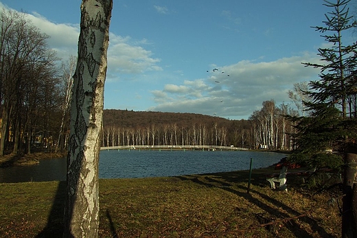 Kpielisko w Pokrzywnej