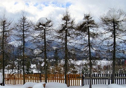 Zakopane zim