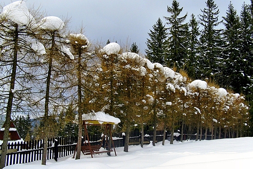 Zakopane zim