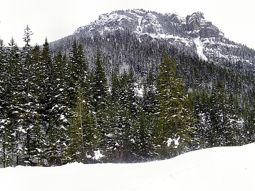Dolina Kocieliska