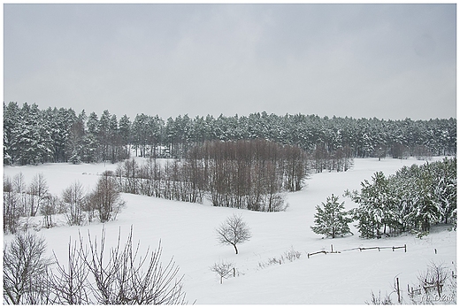 Zima w Ciemnikach