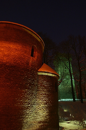 Rotunda w. Mikoaja z XI wieku