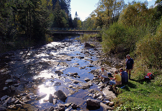 Beskid ywiecki. Nad potokiem.