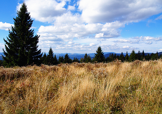 Beskid ywiecki. Polana Krawcula.