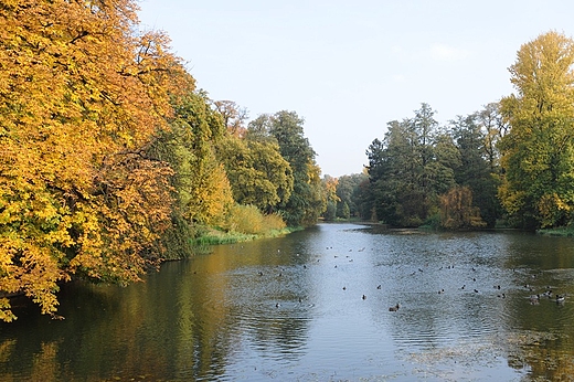 Park Miejski w Kaliszu