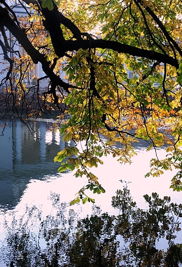 Rzeka Prosna przepywajca przez Park Miejski. Kalisz