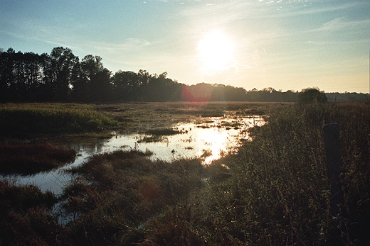 Dolina Utraty. Mazowsze