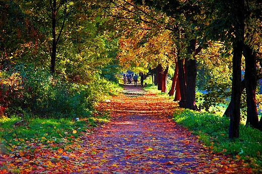 Park Miejski. Kalisz