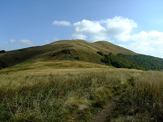 Widok na Smerek