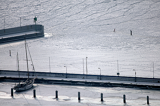 Gdynia - zamarznita marina