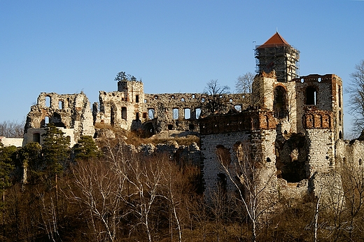 Zamek Tenczyn