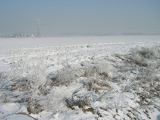 Polski zimowy krajobraz.