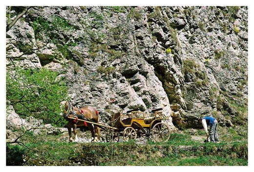 Pieniny