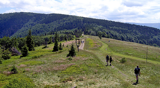 Widok spod Batniej na masyw Stoowa.