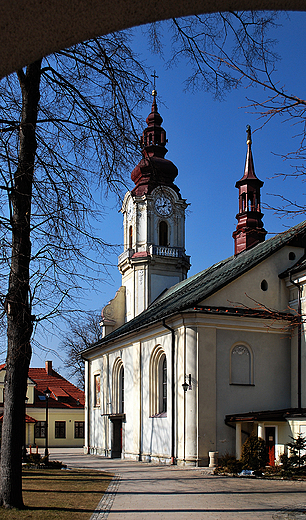Koci w. Macieja.