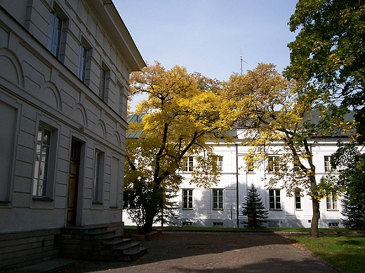 Pałac Jabłonowskich jesienią