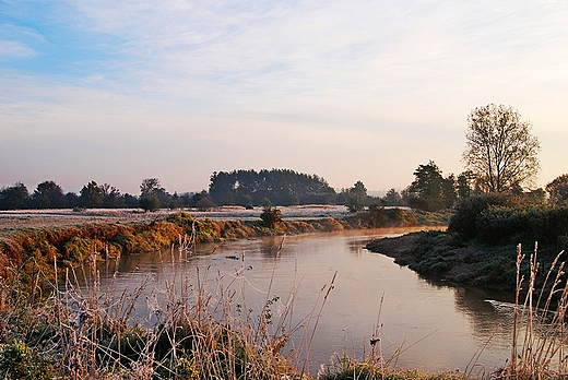 Czarna Nida erniki 11.10.2010