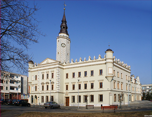 Ratusz miejski w Gubczycach