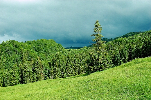 Wysoka - najwysza w grupie Maych Pienin