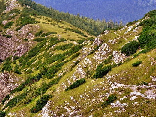 Tatry