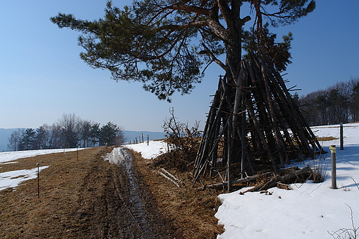 Ostrewki na urlopie. Wojkowa