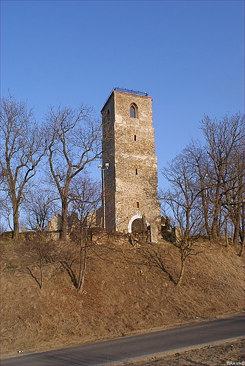 Ruiny kocioa cmentarnego p.w. w. Mikoaja we Wodzieninie