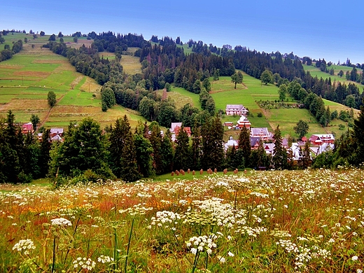 Widok na Suche