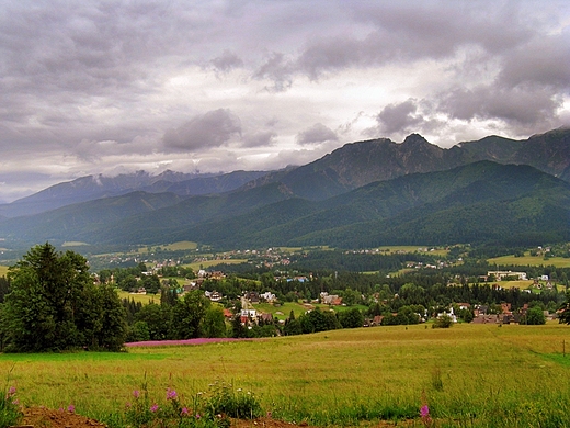 Widok z Gubawki