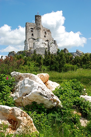 Zamek w Mirowie w penej okazaoci