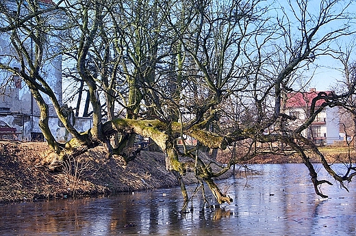 Szydowiecki zamek - nad fos