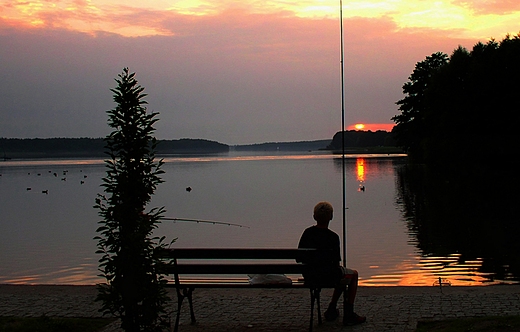 Szczecinek - jezioro Trzesiecko. Samotny wdkarz