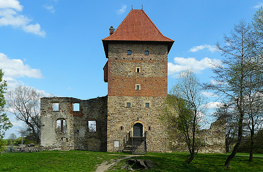 Panorama Zamku w Chudowie.