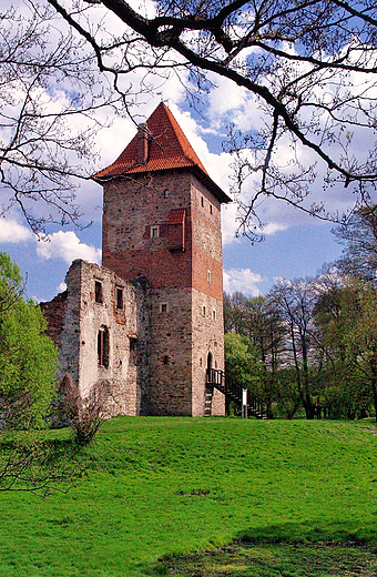 Zamek Rycerski w Chudowie.