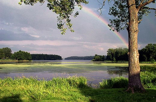 Szczecinek - tcza nad jeziorem Trzesiecko