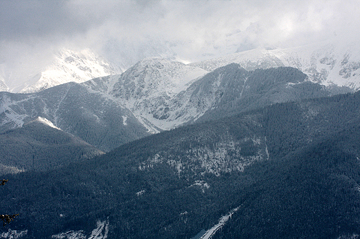 Zakopane, widok z Gubawki na Tatry Zachodnie