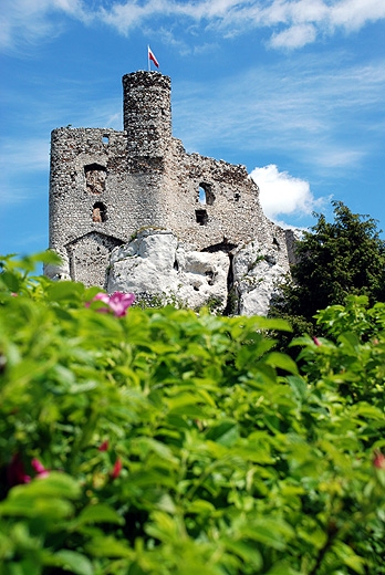Zamek w Mirowie w pełnej krasie