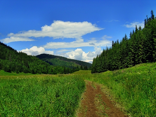 Dolina Maej ki