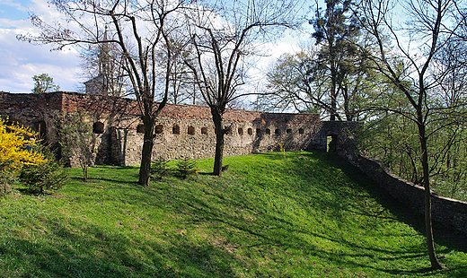 Mury obronne zamku w Toszku.