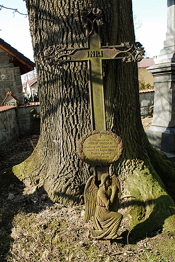 Jelenia- nagrobki przy ko. w. Wojciecha