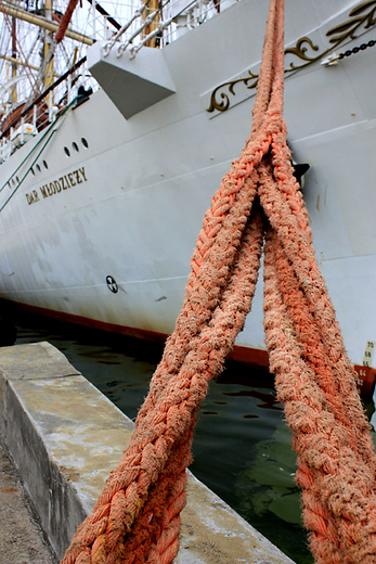 The Tall Ships' Races 2009 - Dar Modziey