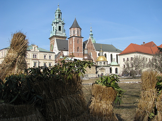 wiosenny Kraków