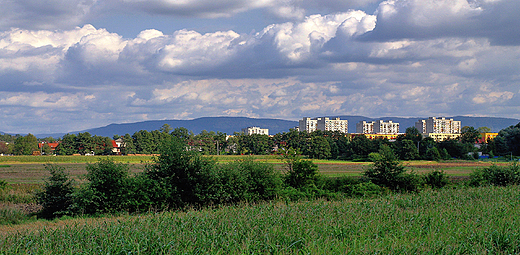 Panorama Czechowic-Dziedzic znad Wisy.