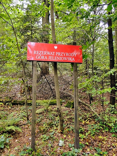Jeleniowski Park Krajobrazowy