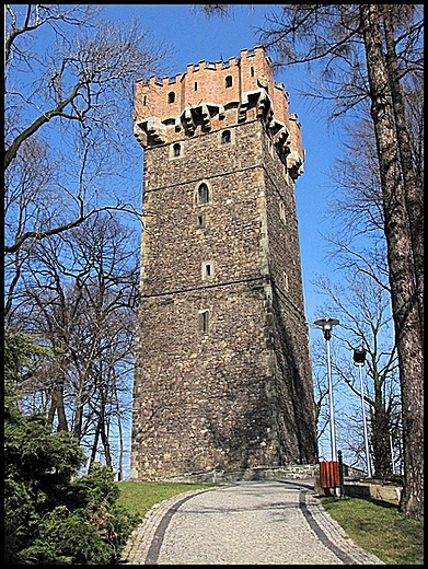 Wiea Piastowska.