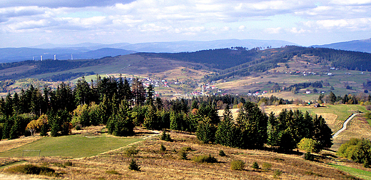 Beskid lski w okolicy Zwardonia.