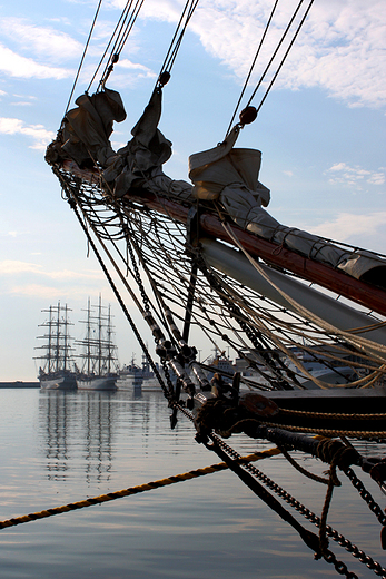 Gdynia - The Tall Ships' Races 2009