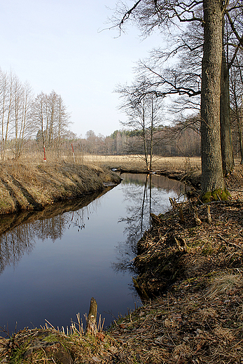 Fojutowo - Czerska Struga